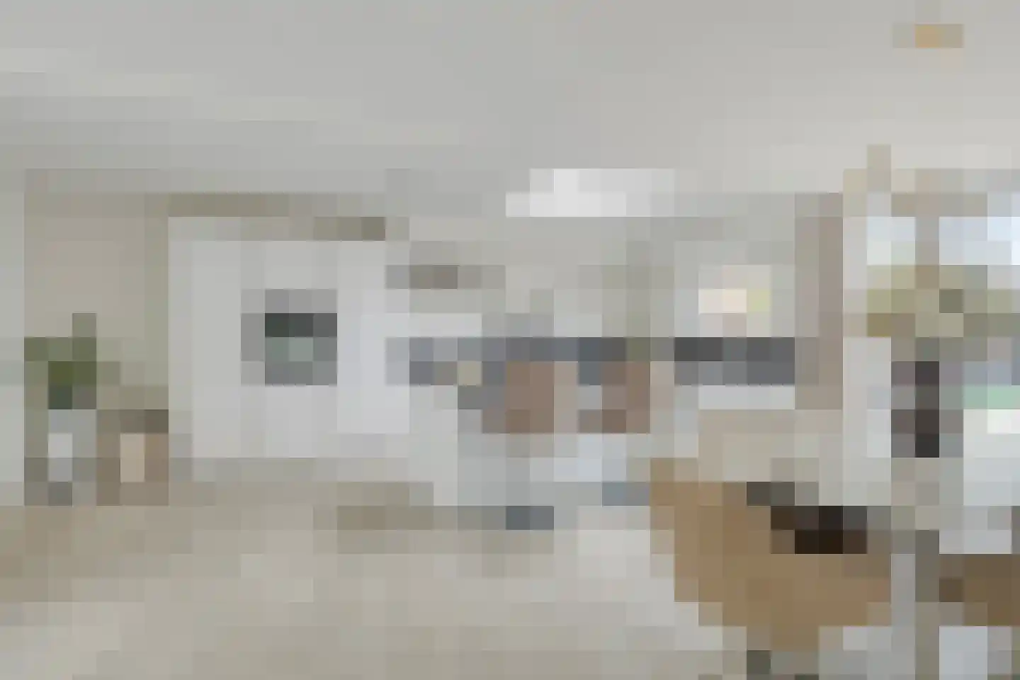 Groene Kruisstraat 112 Dinteloord thumbnail 12