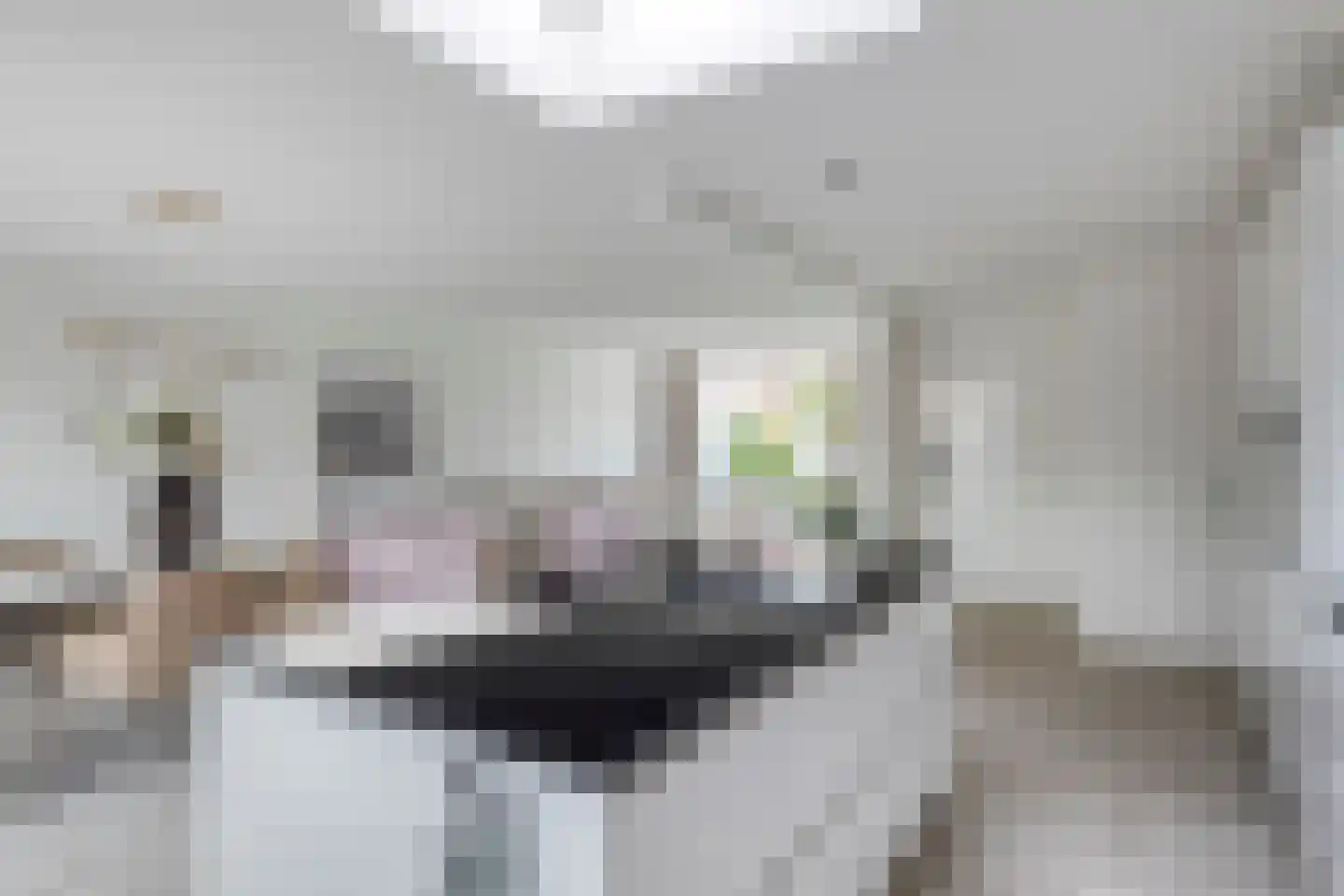 Groene Kruisstraat 112 Dinteloord thumbnail 19
