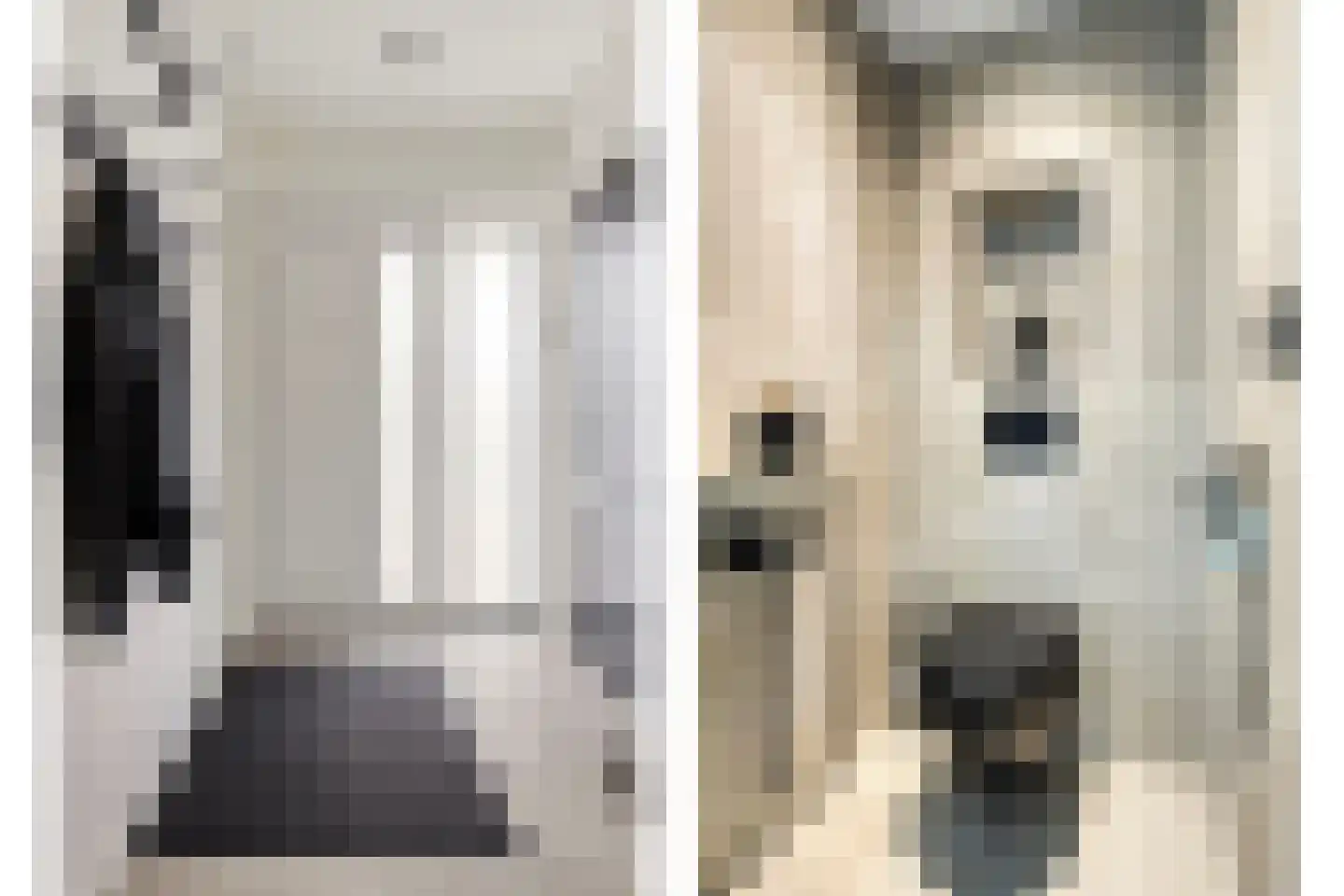 Groene Kruisstraat 112 Dinteloord thumbnail 4