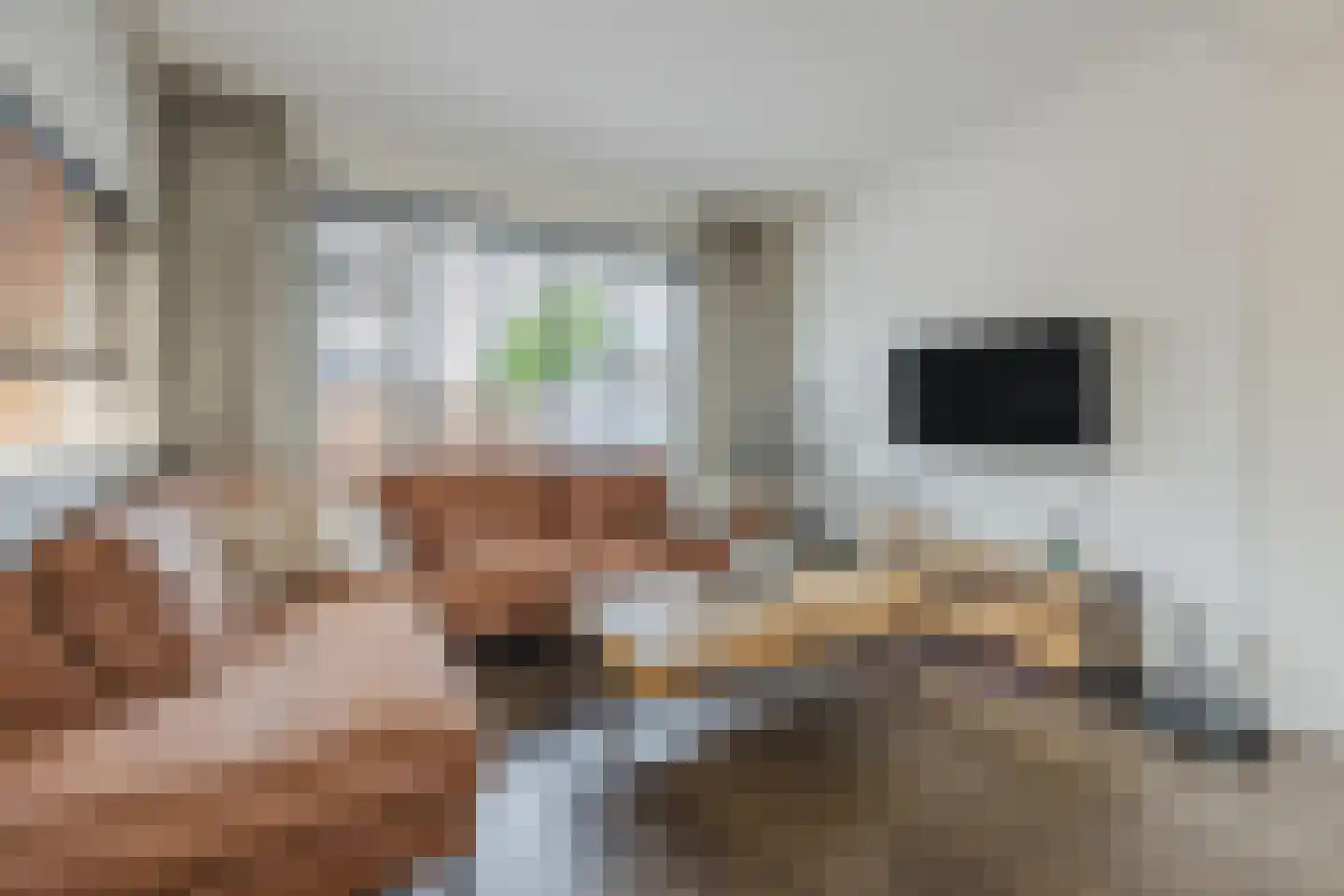 Groene Kruisstraat 25 Dinteloord thumbnail 12
