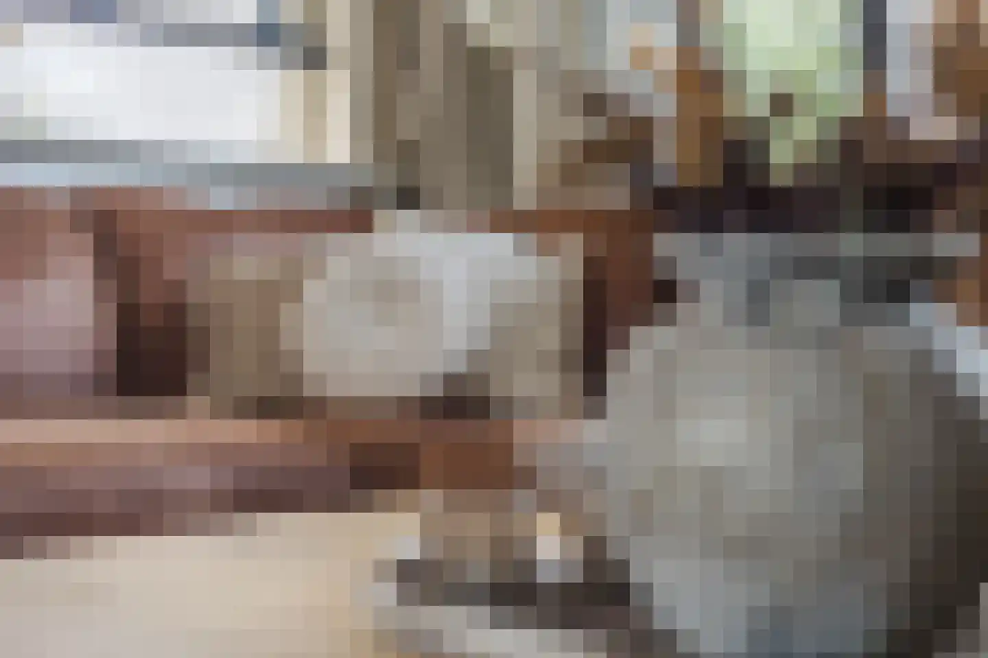 Groene Kruisstraat 25 Dinteloord thumbnail 15