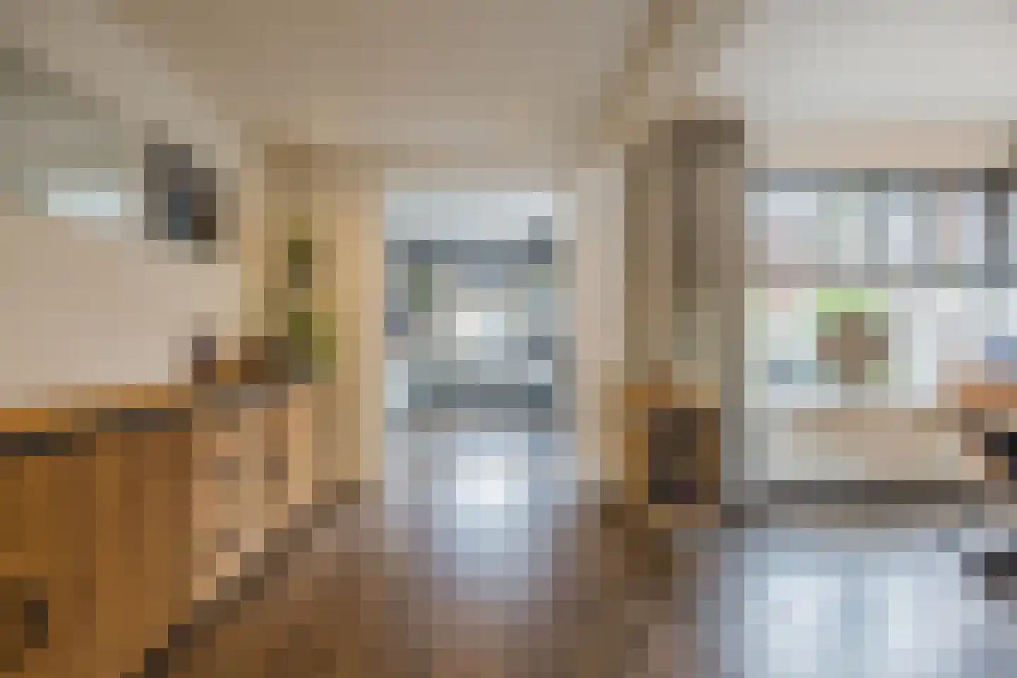 Groene Kruisstraat 25 Dinteloord thumbnail 20