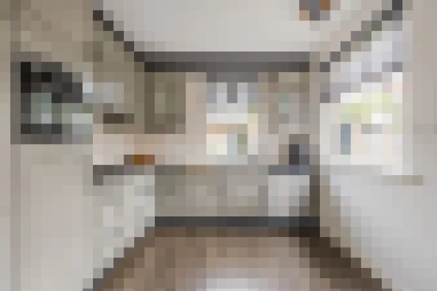 Groene Kruisstraat 25 Dinteloord thumbnail 21