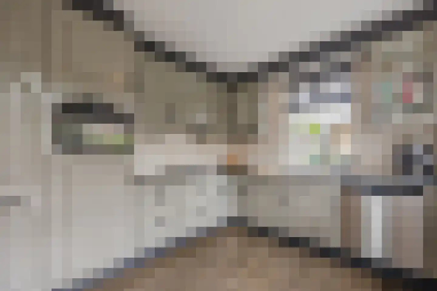 Groene Kruisstraat 25 Dinteloord thumbnail 22