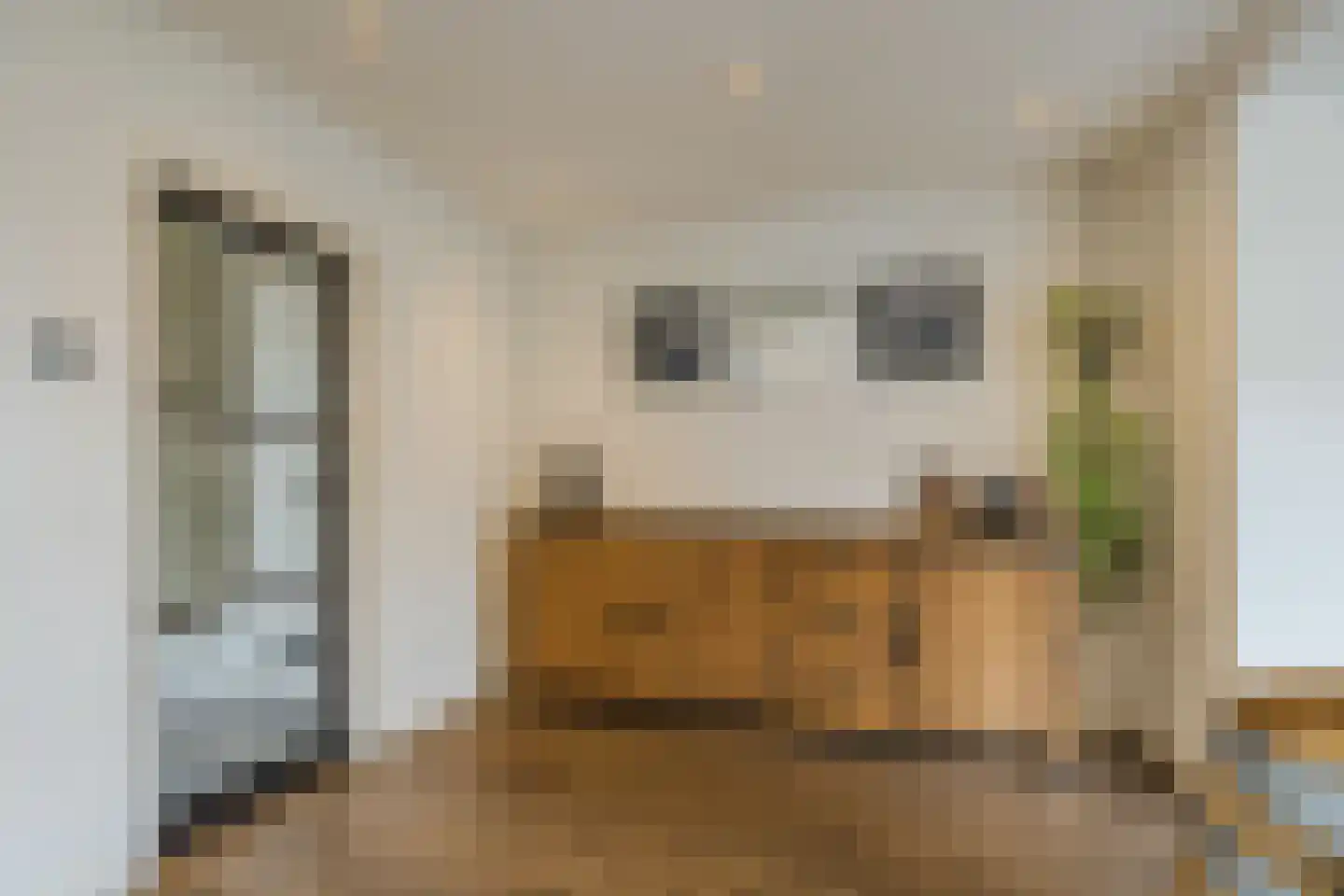 Groene Kruisstraat 25 Dinteloord thumbnail 26