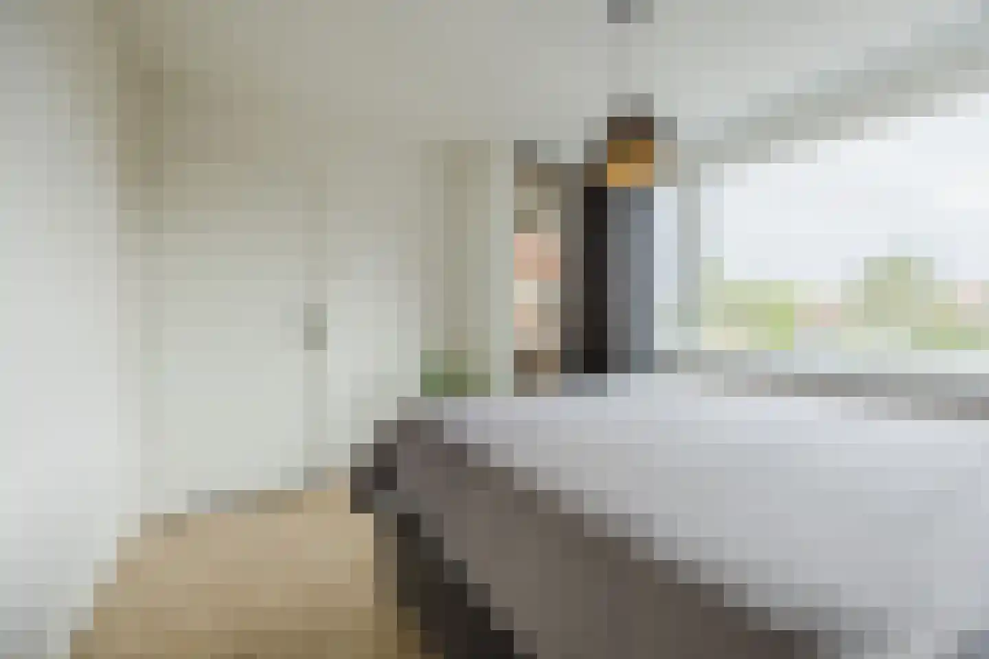 Groene Kruisstraat 25 Dinteloord thumbnail 28