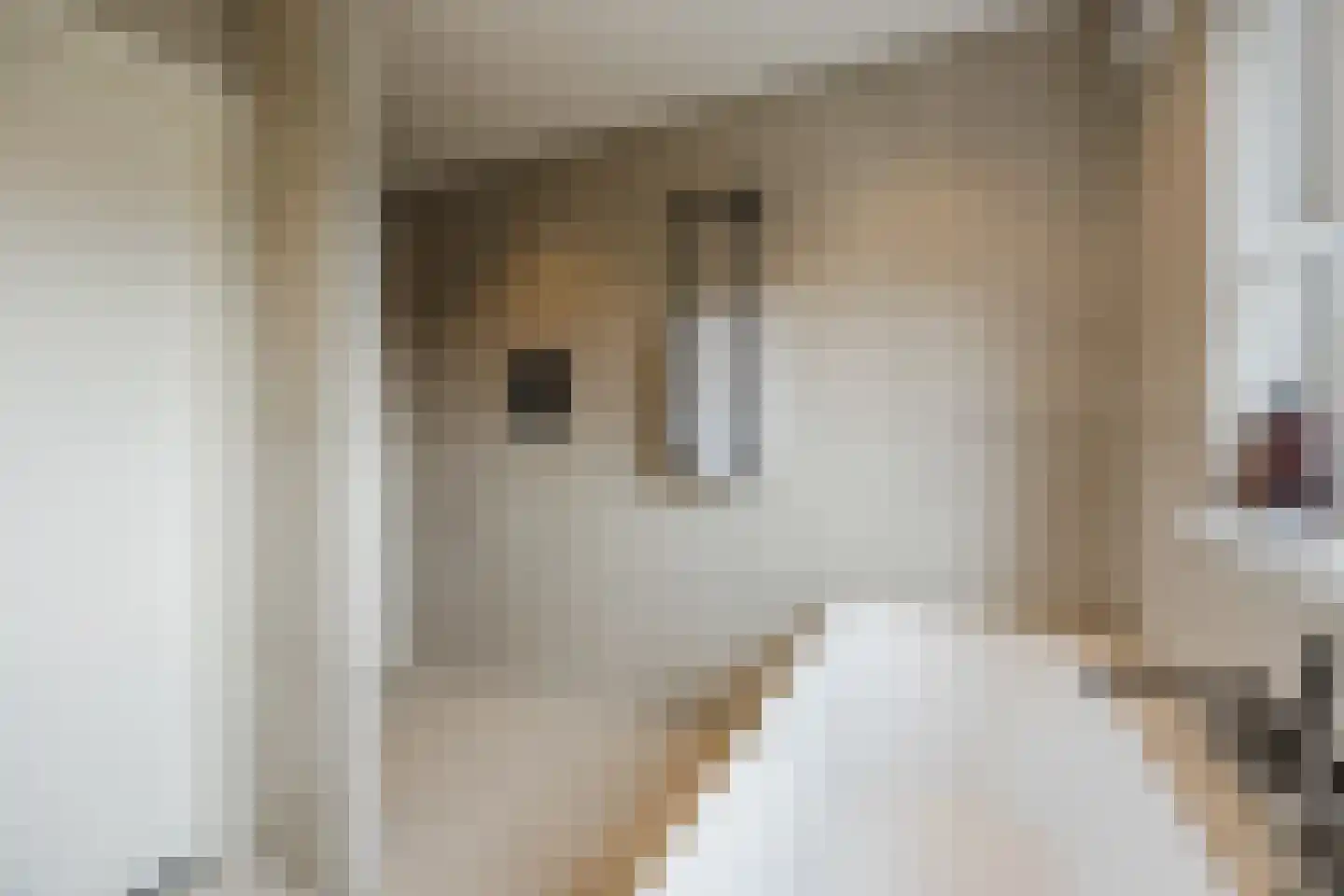 Groene Kruisstraat 25 Dinteloord thumbnail 33
