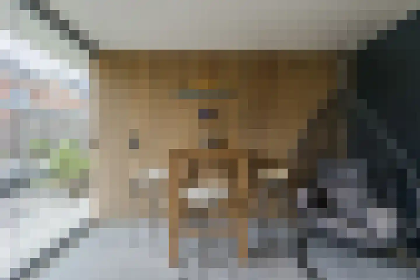 Groene Kruisstraat 25 Dinteloord thumbnail 48