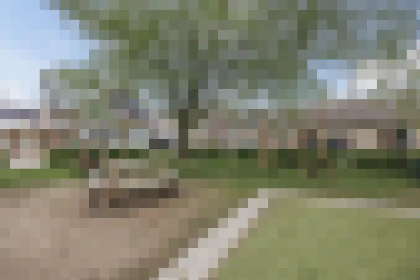 Groene Kruisstraat 25 Dinteloord thumbnail 60