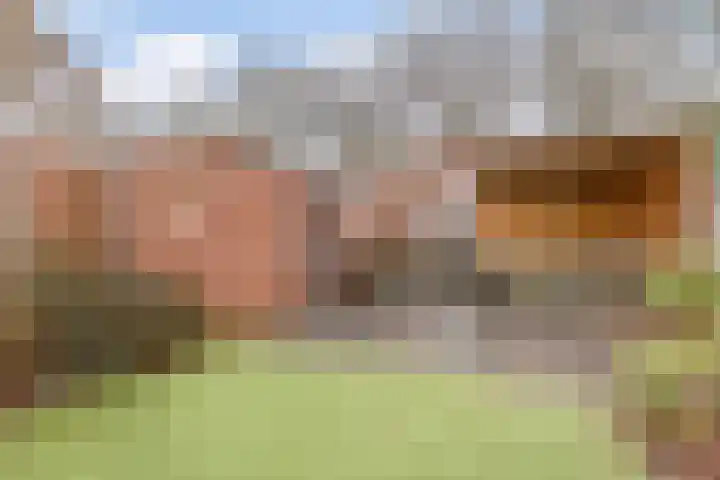 Groene kruisstraat 34 Gennep thumbnail 25