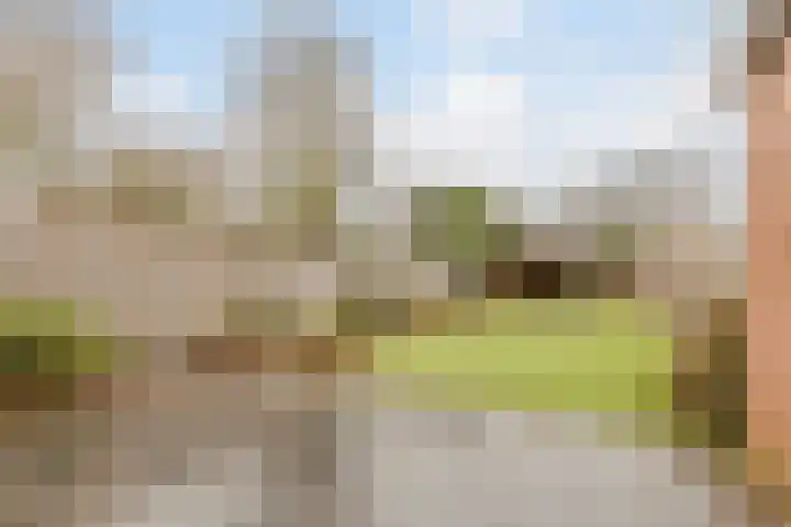 Groene kruisstraat 34 Gennep thumbnail 27