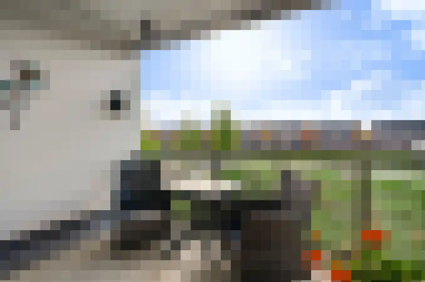 Groene Kruisstraat 38 Herten thumbnail 24