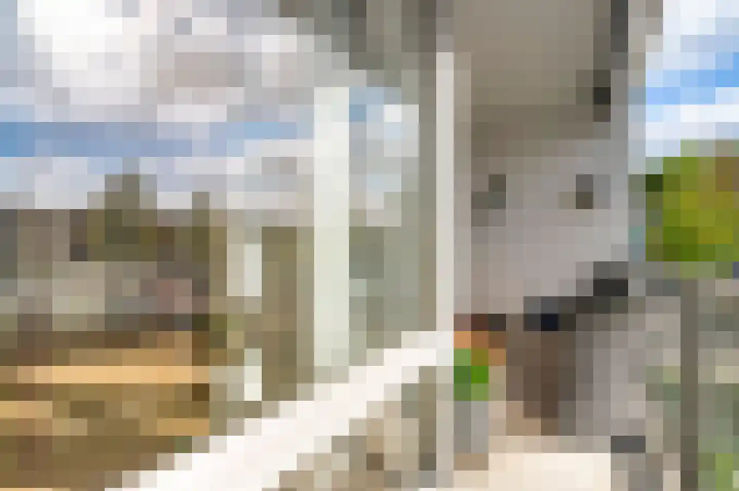 Groene Kruisstraat 38 Herten thumbnail 27
