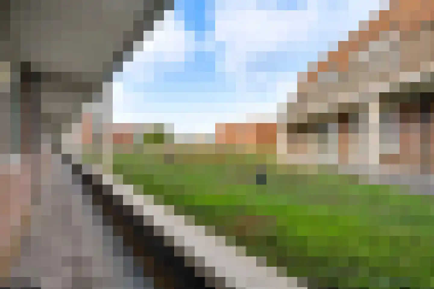 Groene Kruisstraat 38 Herten thumbnail 9