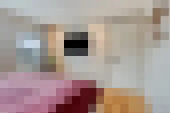 Groene kruisstraat 44 Gennep thumbnail 23