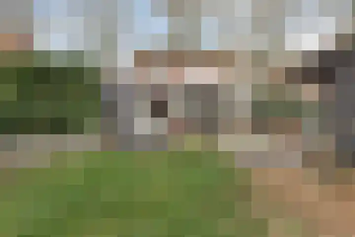 Groene kruisstraat 44 Gennep thumbnail 4