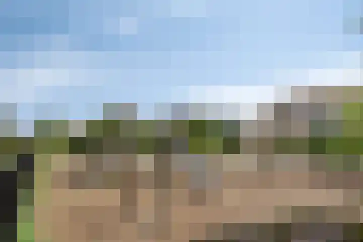 Groene Kruisstraat 5 Rockanje thumbnail 33
