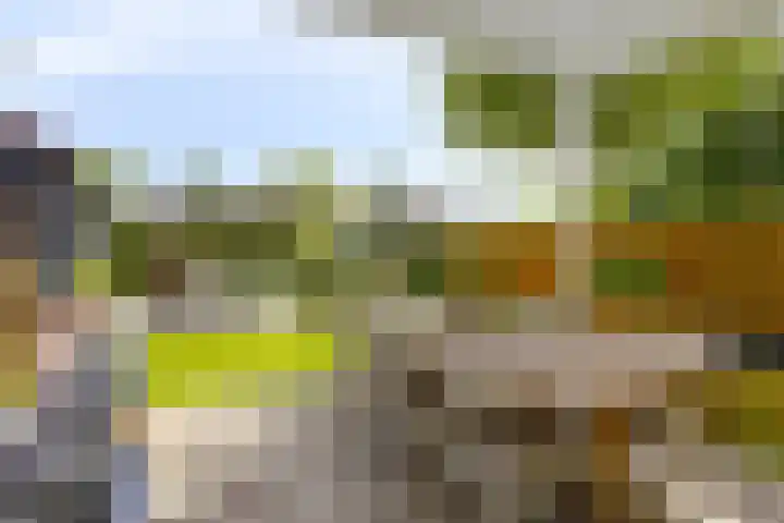 Groene kruisstraat 71 Gennep thumbnail 27