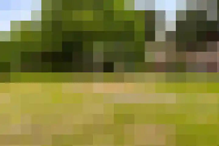Groene kruisstraat 71 Gennep thumbnail 35