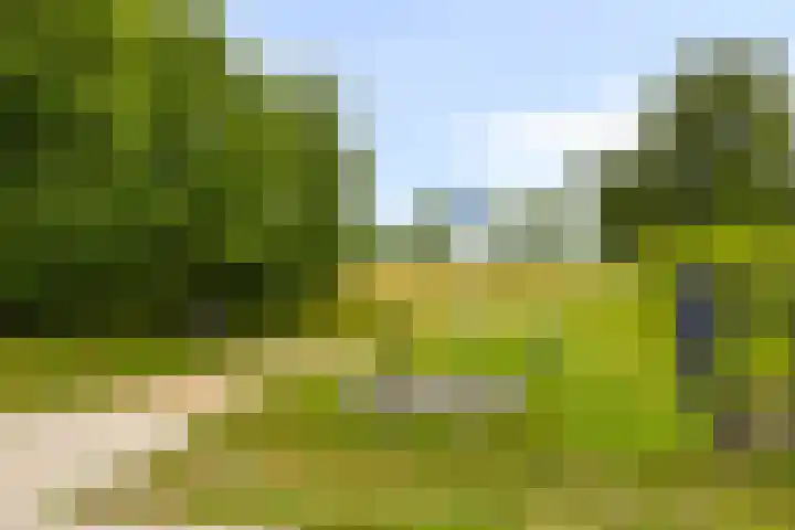 Groene kruisstraat 71 Gennep thumbnail 37