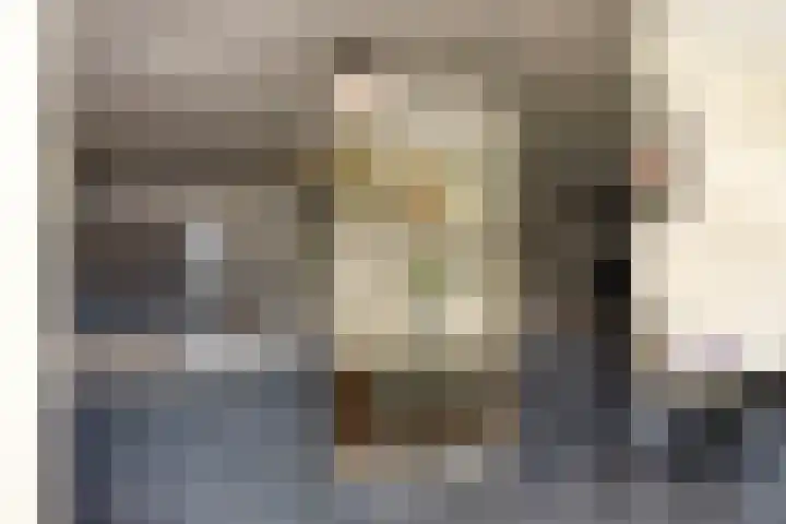 Groene Kruisstraat 74 Dinteloord thumbnail 11