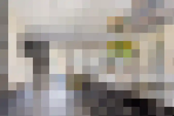 Groene Kruisstraat 74 Dinteloord thumbnail 12