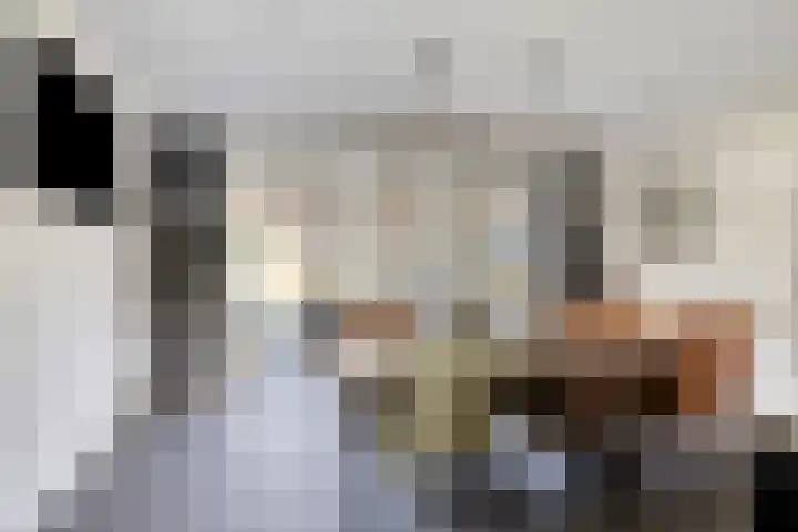 Groene Kruisstraat 74 Dinteloord thumbnail 13