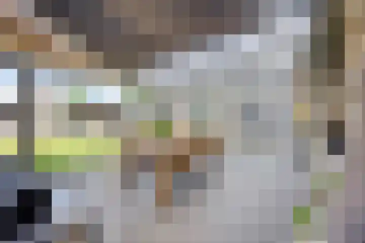 Groene Kruisstraat 74 Dinteloord thumbnail 15