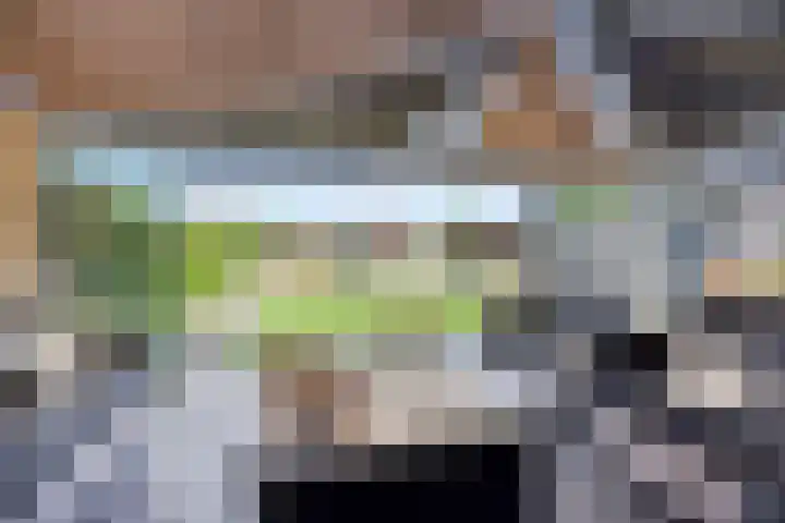 Groene Kruisstraat 74 Dinteloord thumbnail 17