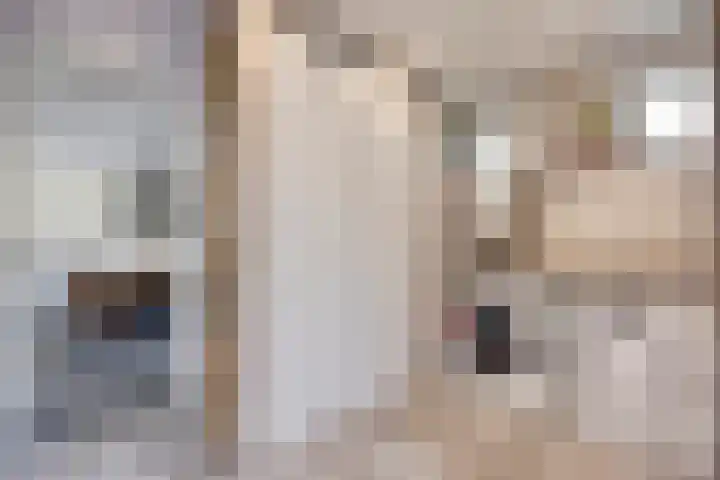 Groene Kruisstraat 74 Dinteloord thumbnail 18