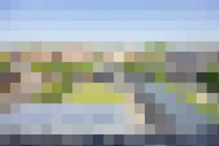 Groene Kruisstraat 74 Dinteloord thumbnail 32