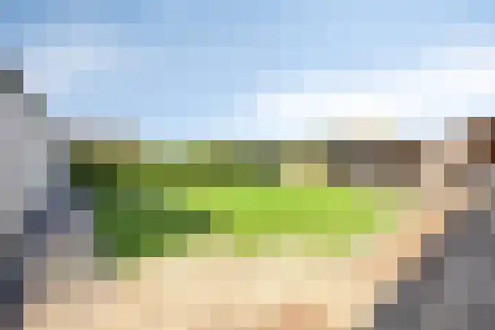 Groene Kruisstraat 74 Dinteloord thumbnail 35