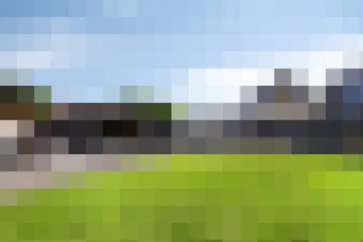 Groene Kruisstraat 74 Dinteloord thumbnail 37