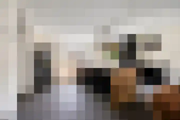 Groene Kruisstraat 74 Dinteloord thumbnail 9