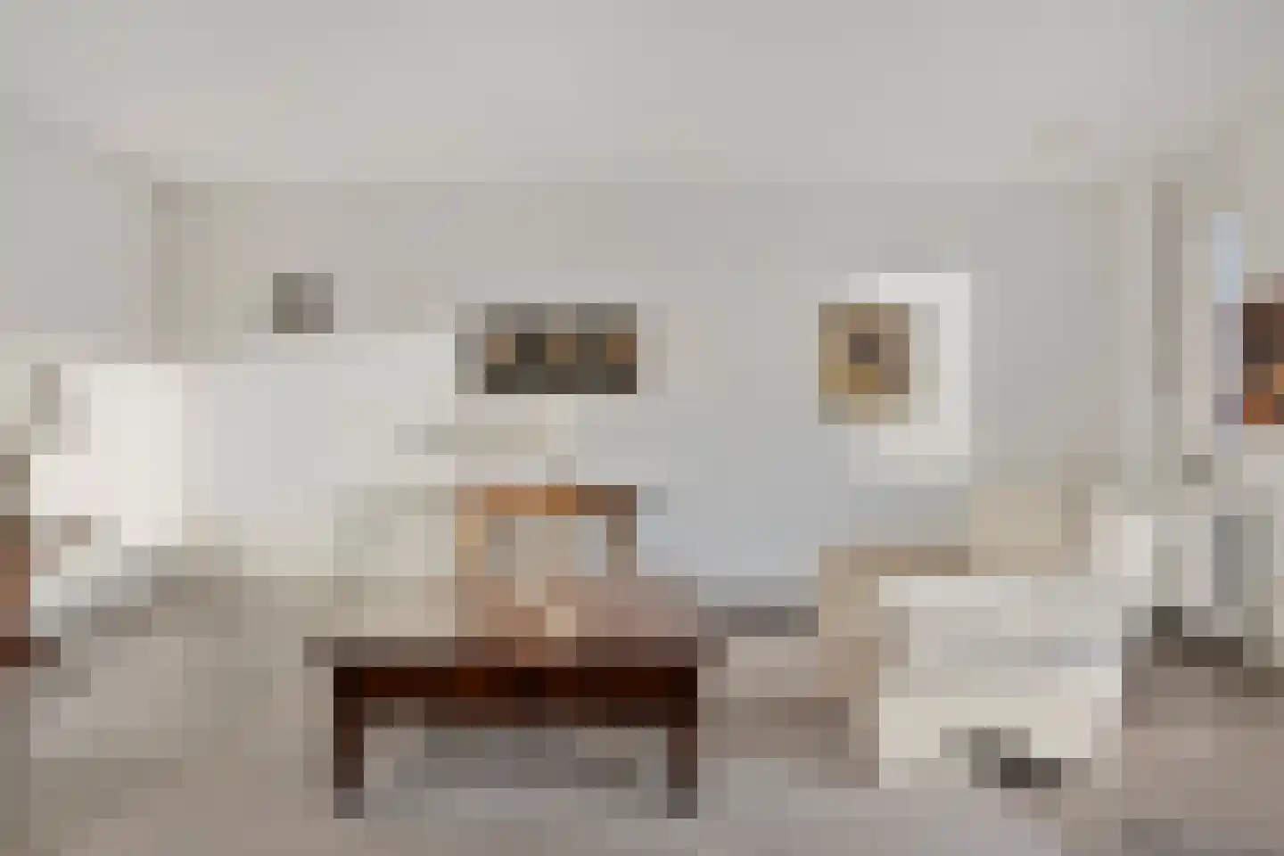 Groene Kruisstraat 76 Herten thumbnail 8
