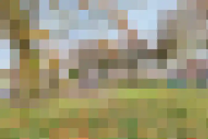 Groene kruisstraat 90 Gennep thumbnail 39