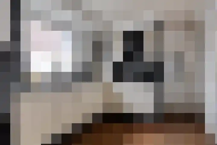 Groene Kruisstraat 94 Dinteloord thumbnail 15
