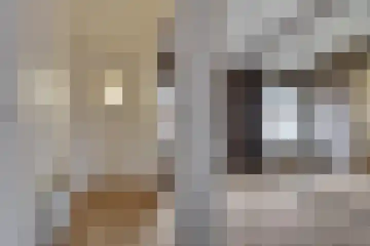 Groene Kruisstraat 94 Dinteloord thumbnail 40