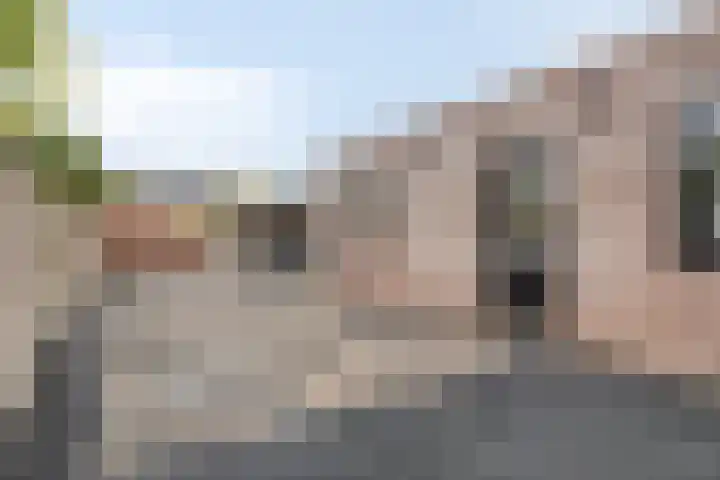 Groene Kruisstraat 94 Dinteloord thumbnail 43