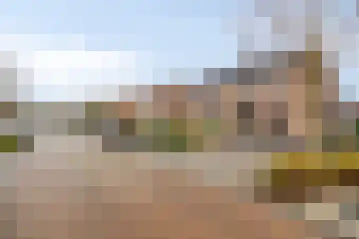 Groene Kruisstraat 94 Dinteloord thumbnail 49
