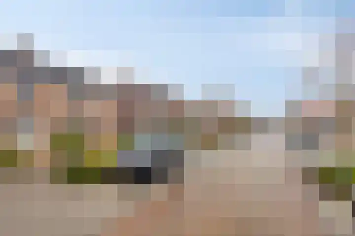 Groene Kruisstraat 94 Dinteloord thumbnail 50