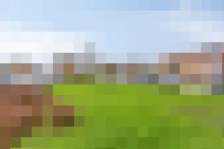 Groene Kruisstraat 94 Dinteloord thumbnail 52