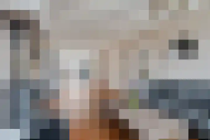 Groene Kruisstraat 94 Dinteloord thumbnail 6