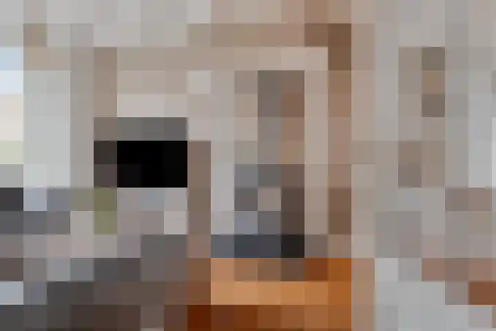 Groene Kruisstraat 94 Dinteloord thumbnail 8