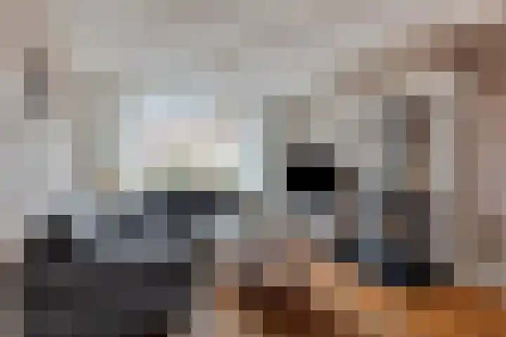 Groene Kruisstraat 94 Dinteloord thumbnail 9