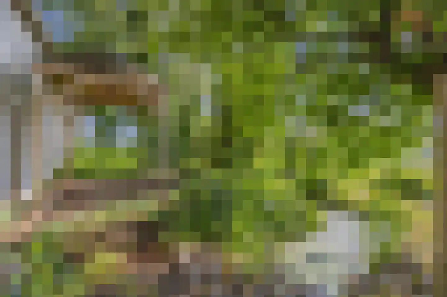 Groene Kruisweg 12 Numansdorp thumbnail 54