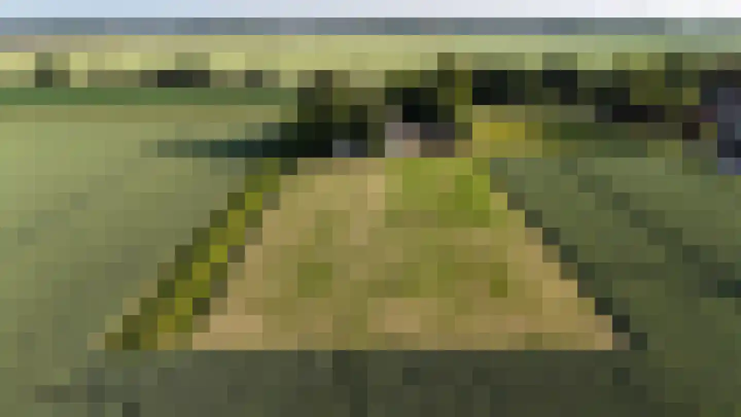 Groene Kruisweg 12 Numansdorp thumbnail 58