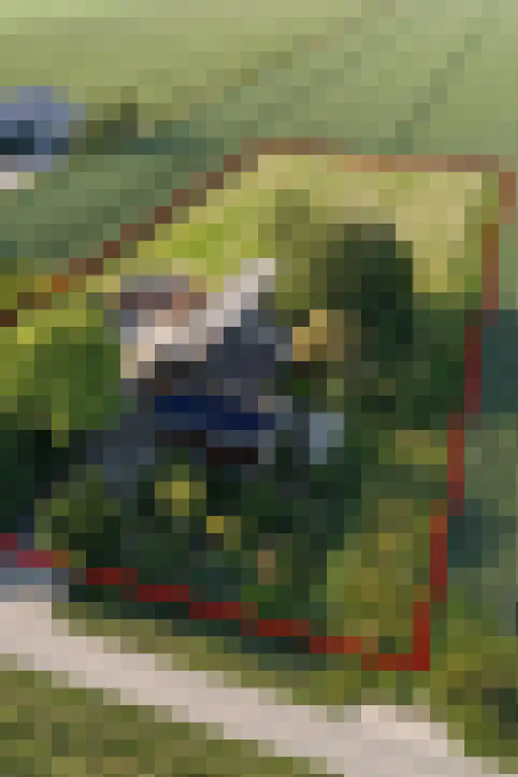 Groene Kruisweg 12 Numansdorp thumbnail 59