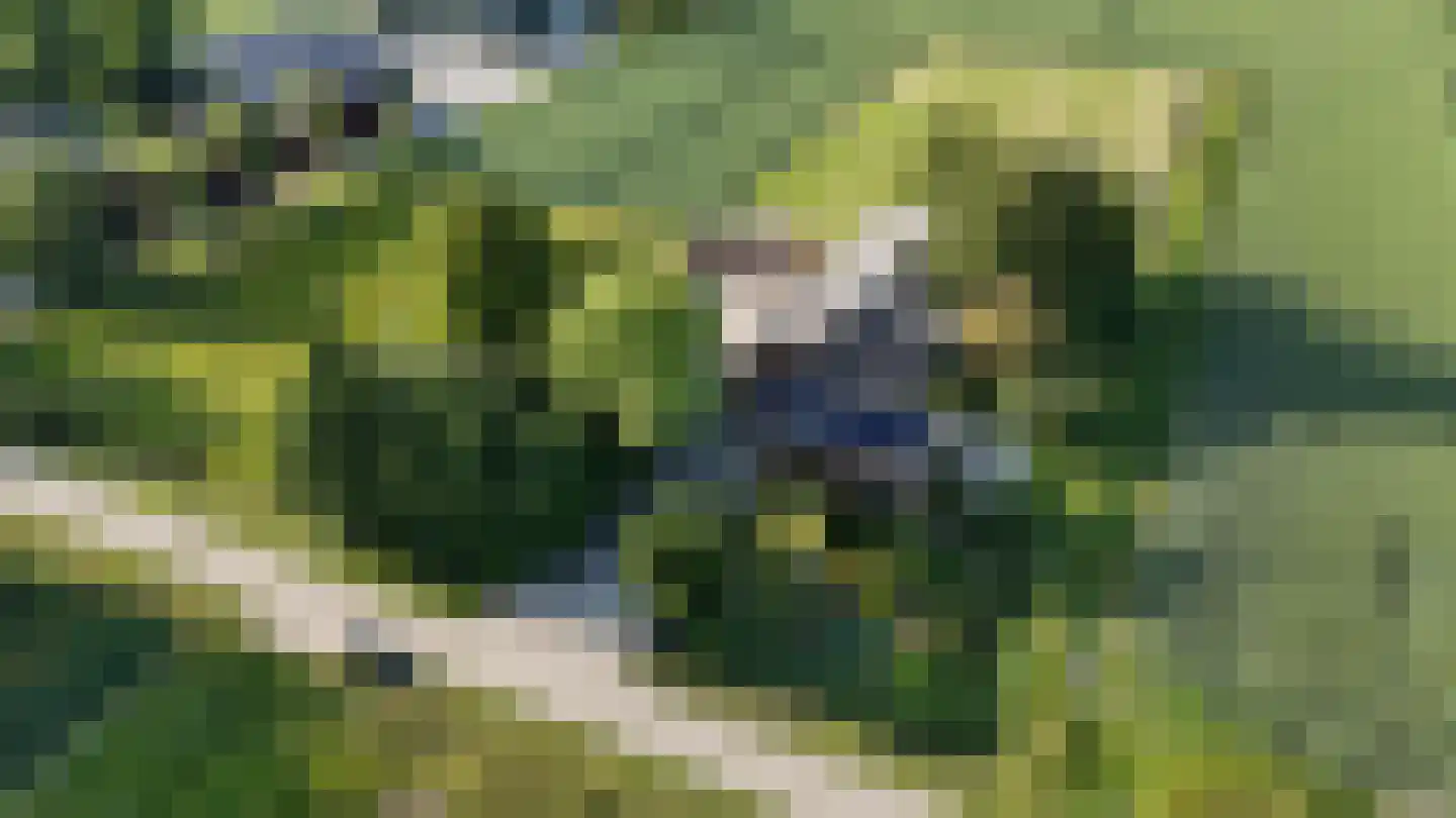 Groene Kruisweg 12 Numansdorp thumbnail 6