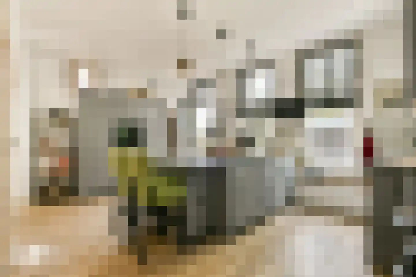 Groene Kruisweg 475 Rhoon thumbnail 13